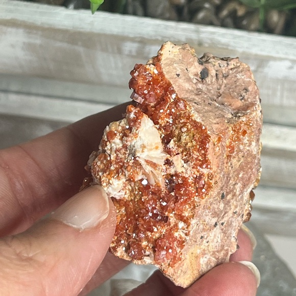 Vanadanite- Morocco 🇲🇦 - Picture 7 of 7